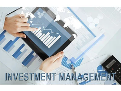 UCL——MSIN0082 投资管理Investment Management 课程辅导