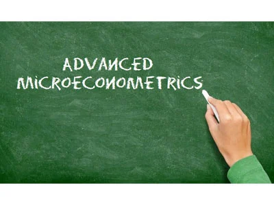 UCL——ECON0060 高级微观经济Advanced Microeconometrics 考试&论文&课程辅导