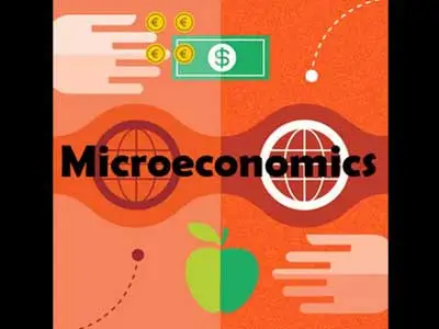 UCL——ECON0065 微观经济学Microeconomics 考试&论文&课程辅导