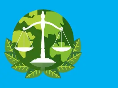 UCL——LAWS0334 环境法的高级基础Advanced Foundations of Environmental Law 考试&论文&课程辅导