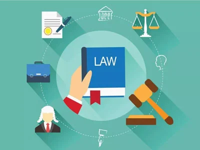 UCL——LAWS0361 比较宪法法律Comparative Constitutional Law 考试&论文&课程辅导
