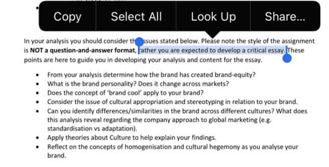 how to write the critical analysis required by the professor 1