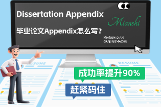 Dissertation Appendix：毕业论文Appendix怎么写？