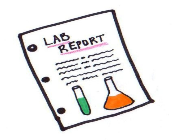 Lab Report重要构成部分