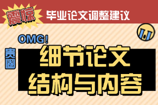 毕业论文调整建议 - 细化论文结构与内容