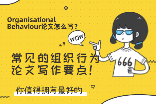Organisational_Behaviour论文怎么写？.png