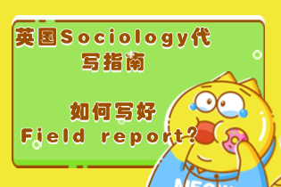 英国Sociology代写指南：如何写好Field report？从观察到分析的全方位解析