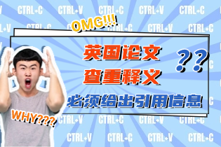 英国论文查重释义.png