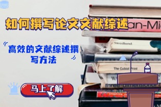 writing-a-literature-review-for-your-essay.jpg