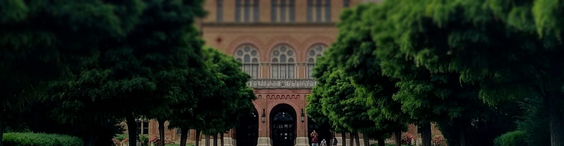 一站式留学申请