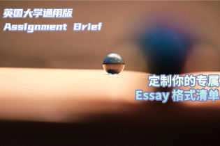英国大学通用版_Assignment_Brief，定制.jpg
